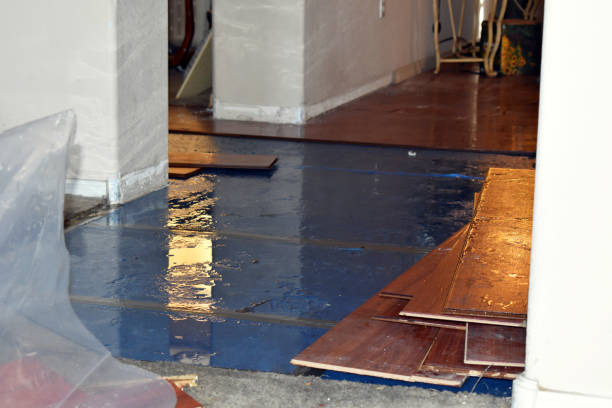Professional Basement Flood Cleanup technician working in Heflin, AL